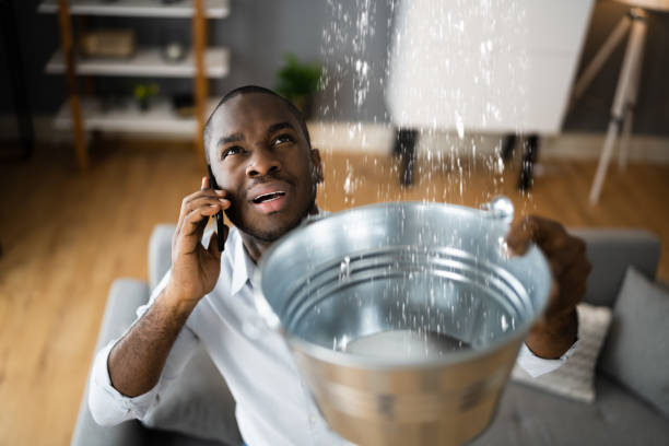 Best Flood restoration services  in East Glenville, NY