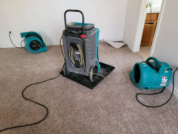 Best Sewage cleanup and water damage restoration  in East Glenville, NY