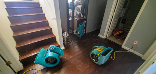 Best 24/7 water damage repair  in East Glenville, NY