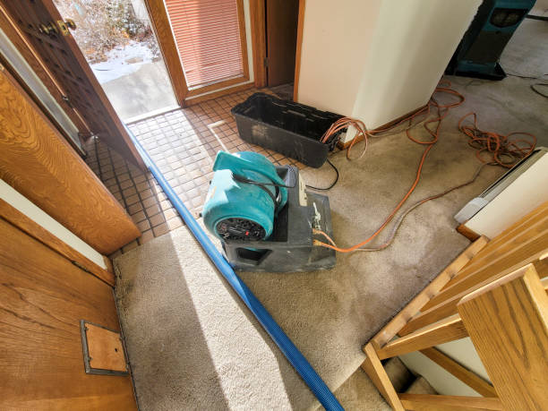 Best Fire Damage Restoration  in East Glenville, NY