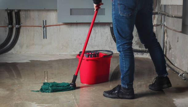 Best Flood restoration services  in East Glenville, NY