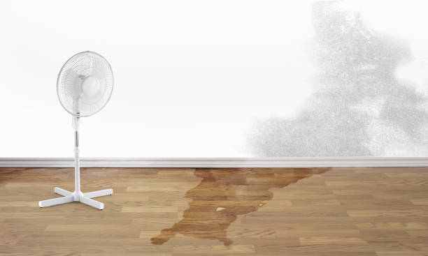 Best Water damage restoration near me  in East Glenville, NY