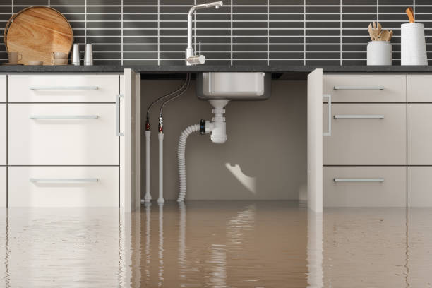 Best 24/7 water damage repair  in East Glenville, NY