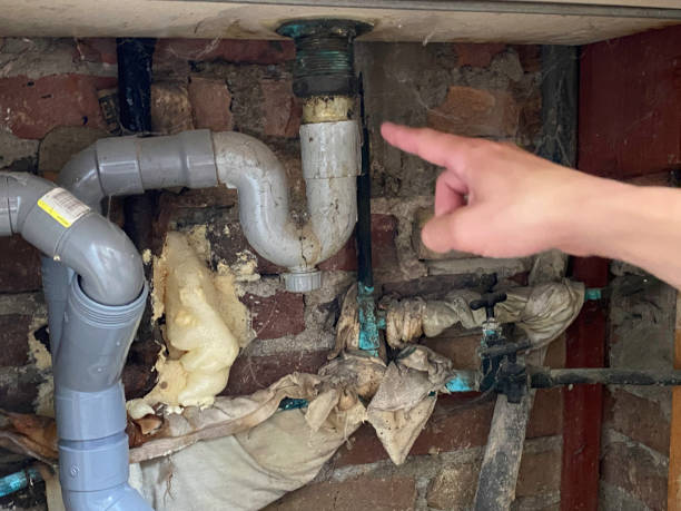 Best Mold removal after water damage  in East Glenville, NY