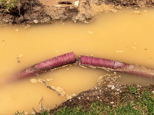 Best Water damage cleanup near me  in East Glenville, NY